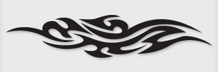 Bok