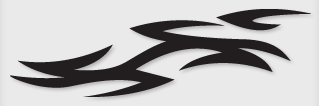 Bok