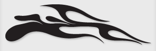 Bok