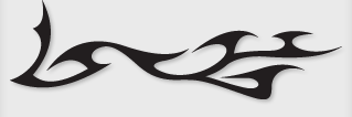 Bok