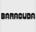 Baracuda