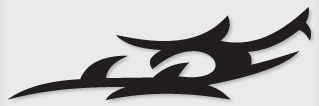 Bok