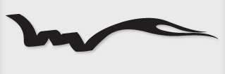 Bok