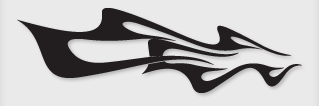 Bok