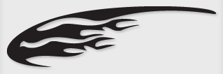 Bok