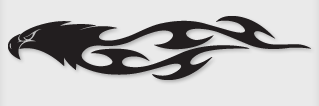 Bok