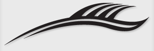 Bok