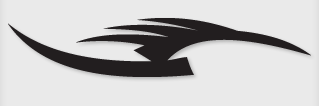 Bok