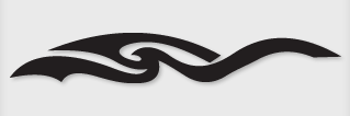 Bok