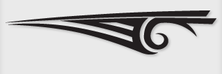 Bok