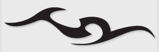 Bok