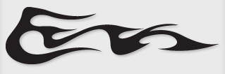 Bok