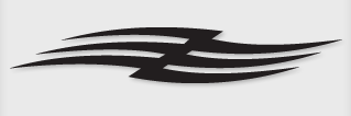 Bok