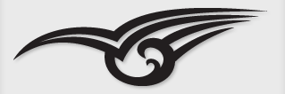 Bok