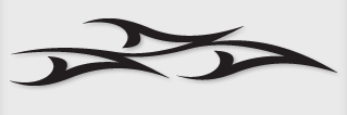 Bok