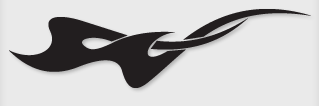 Bok