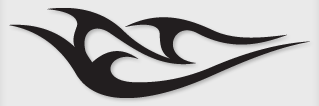 Bok