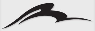 Bok