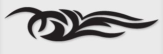 Bok