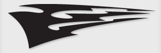 Bok