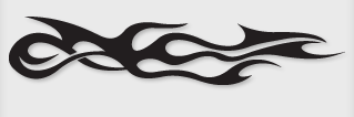 Bok