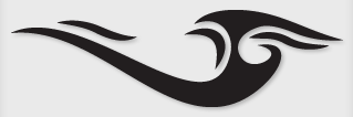Bok