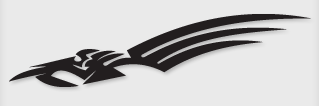 Bok