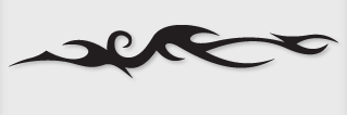 Bok