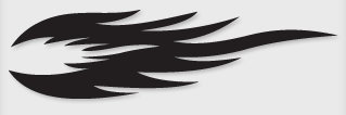 Bok