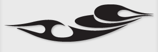 Bok